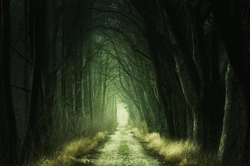 Enchanted Woodland Ceremony